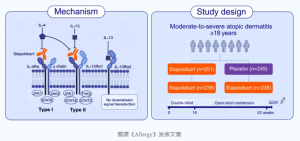 司普奇拜单抗III期研究52周数据发表于过敏与免疫学领域顶级期刊《Allergy》