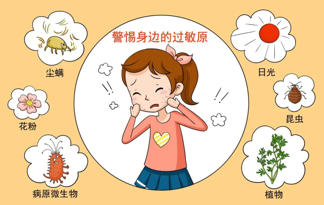 AD与过敏不得不说的二三事