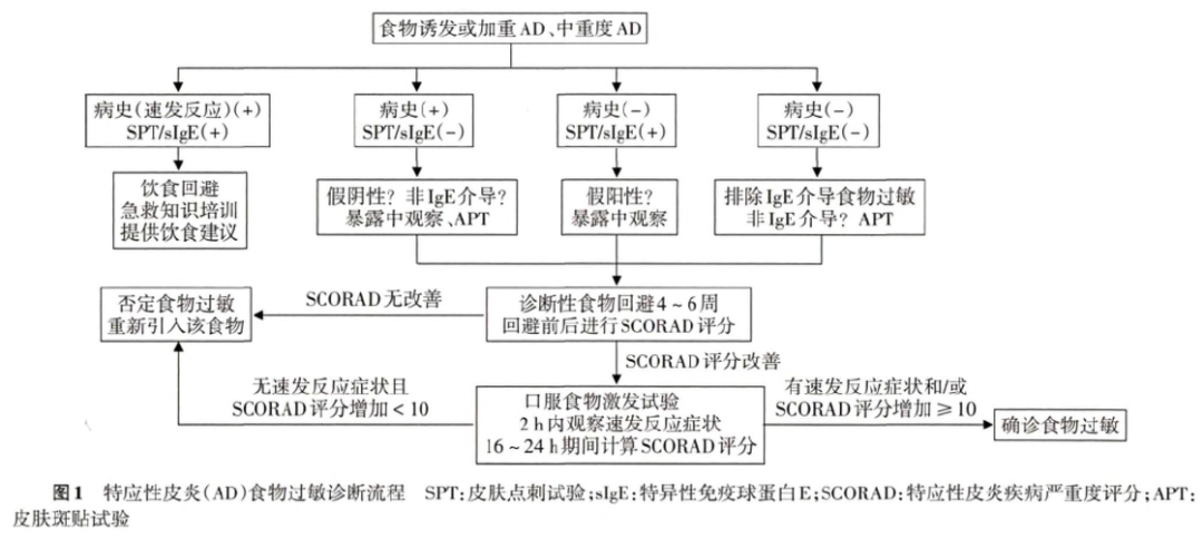 解惑AD｜一日三省吾身——吃什么？能吃么？