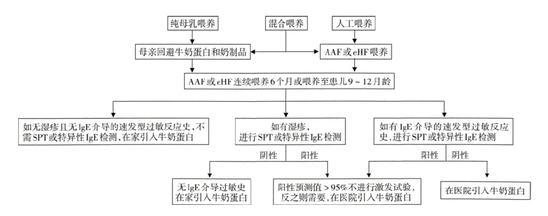 解惑AD｜一日三省吾身——吃什么？能吃么？