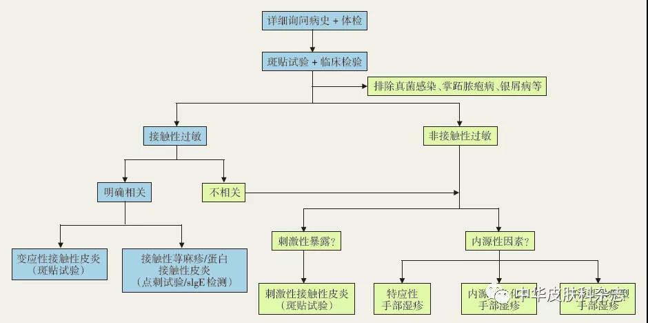 ｜指南与共识｜中国手部湿疹诊疗专家共识（2021版）
