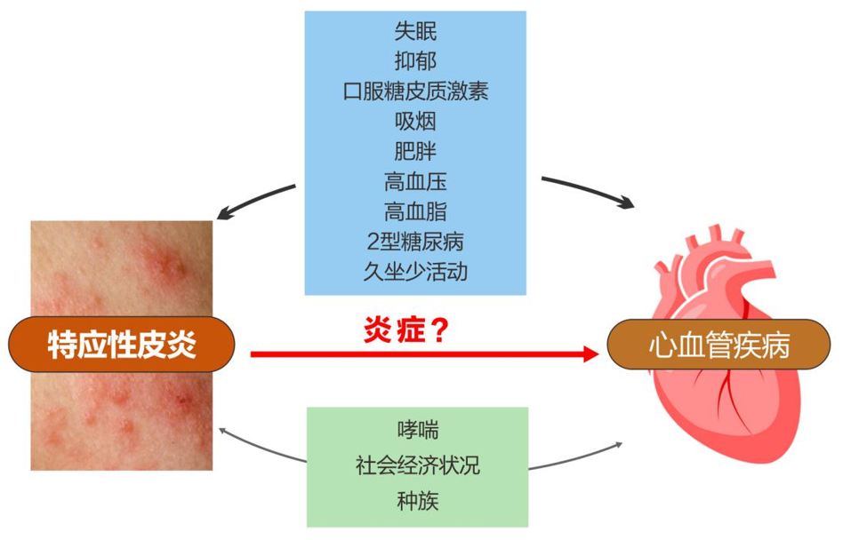 AD病人患心血管疾病的风险比常人更高吗?