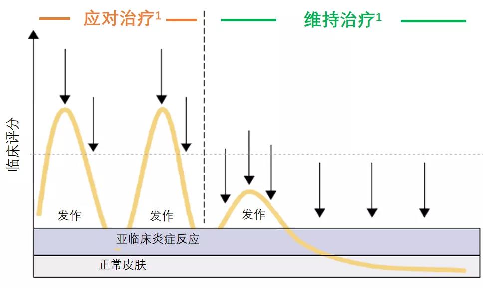 解惑AD | 特应性皮炎(AD)急性发作的那些事