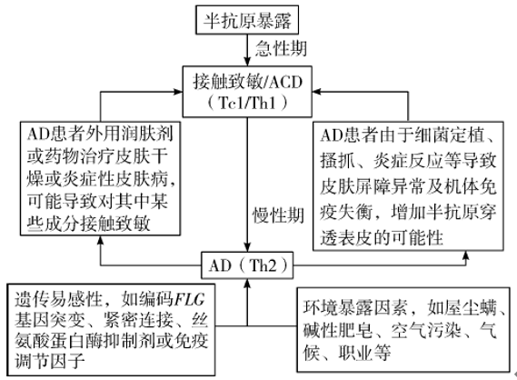 解惑AD|是特应性皮炎,还是接触性皮炎?